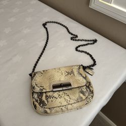 Coach Kristin Python Embossed Crossbody Bag with a detachable chain strap.