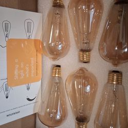 Incandescent Vintage Bulb (New)