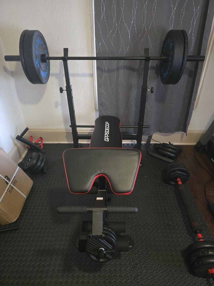 WEIGHTS AND BAR. EVERYTHING FOR SALE