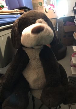 Dog of teddy and big