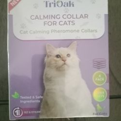 Cat Pet Collar