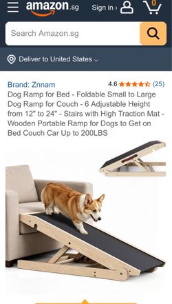 New pet ramp