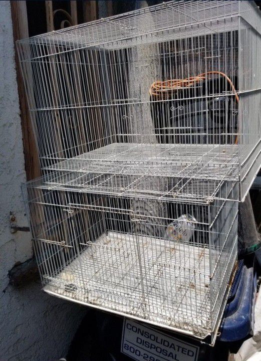 Bird Cages $10