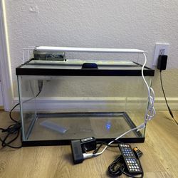 10 Gallon Aquarium 