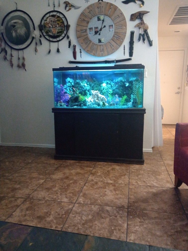 75 Gallon Fish Tank