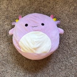 Axolotl Squishmallow 14”