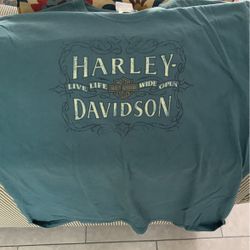 XL GENTLY WORN HARLEY DAVIDSON SHORT SLEEVE SHIRT FAIRBANKS ALASKA LIVE FREE WIDE OPEN 