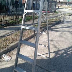 6 Ft Ladder