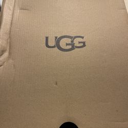 Woman Boot  Uggs 