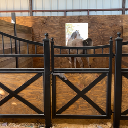 Ranch doors, iron doors