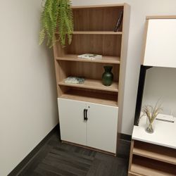 Bookcase With Doors