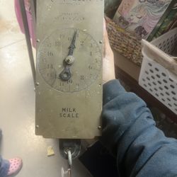 Milk Scale