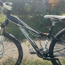 Specialized Rock Hopper Mountain Bike Bicycle Rare Size Small