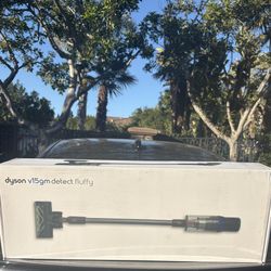New Dyson V15 Detect Fluffy