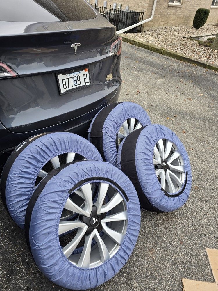 Tesla Rims