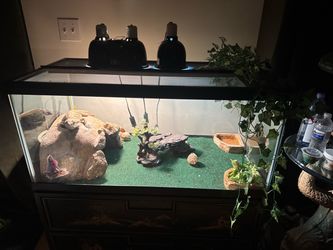 Large Reptile Tank Enclosure with Accessories
