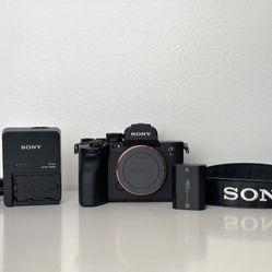 Sony A7rV