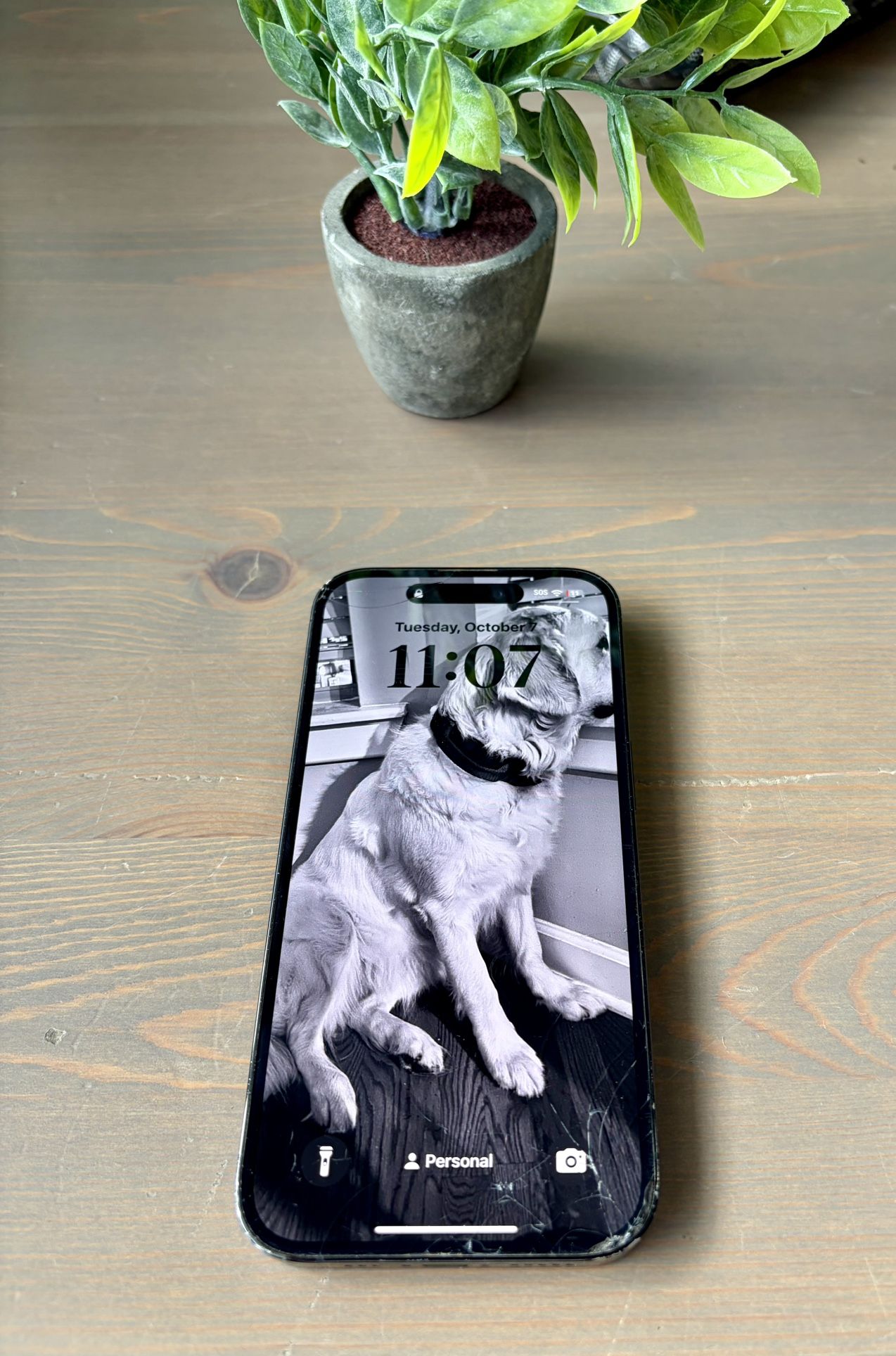 iPhone 14 Pro / 128GB / Black / T-Mobile Or Mint
