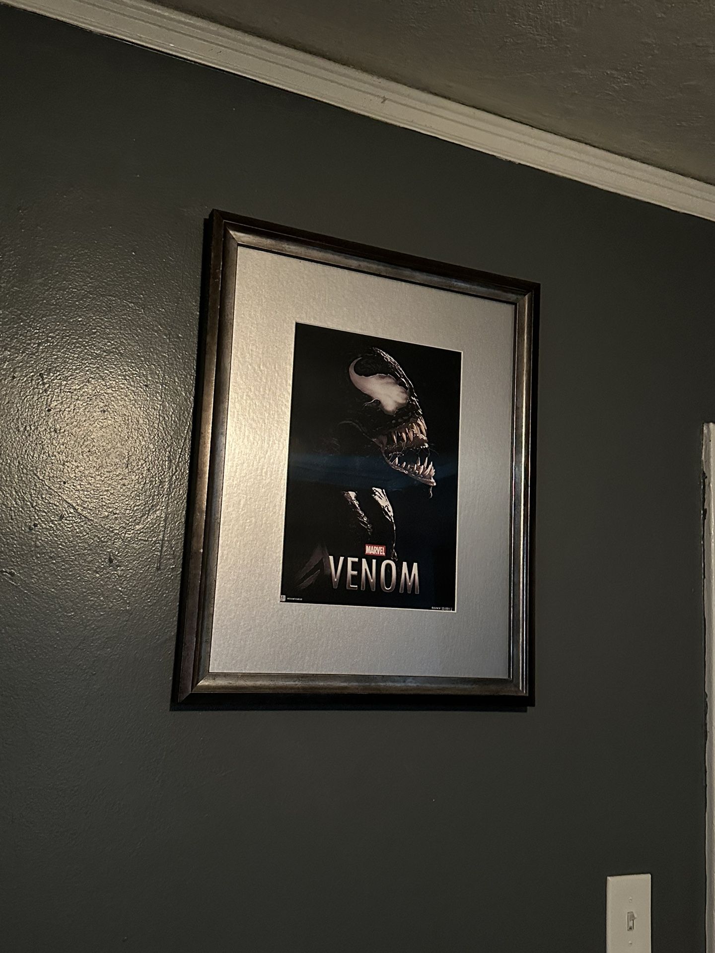 Venom Poster