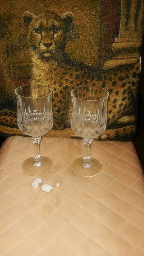 All the glassware shown all of it for $15