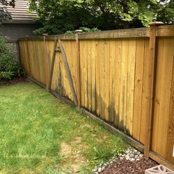 Free Fence 