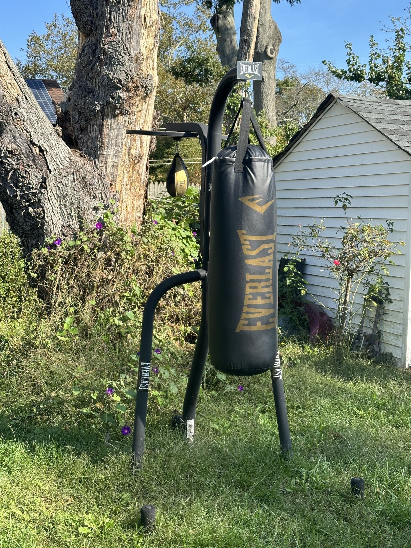 Everlast Stand and bag 