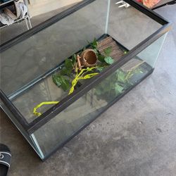 40 Gallons Fish Tank Aquarium