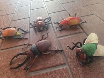 Realistic Plastic Insect Beetle Toy Figures Set of 5