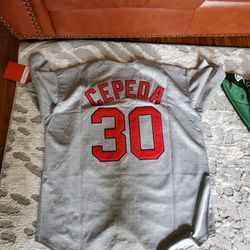 Baseball Jersey 