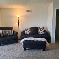 Navy Blue Arm chair and ottoman