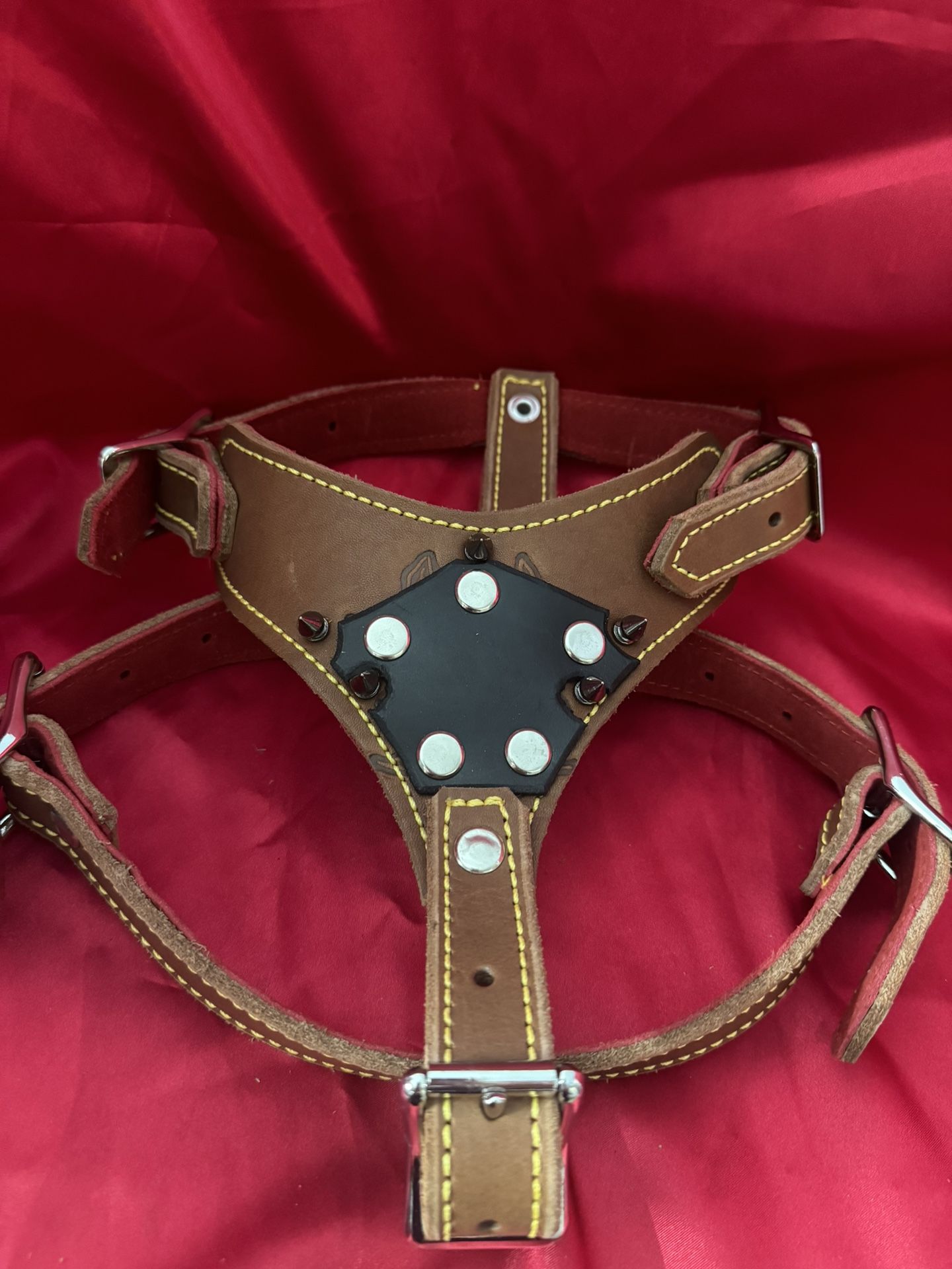 Dog Harness With Spike Median