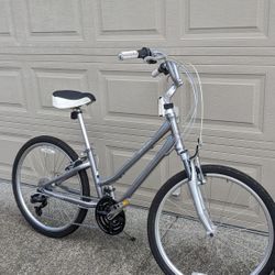 Suede Giant Bicycles