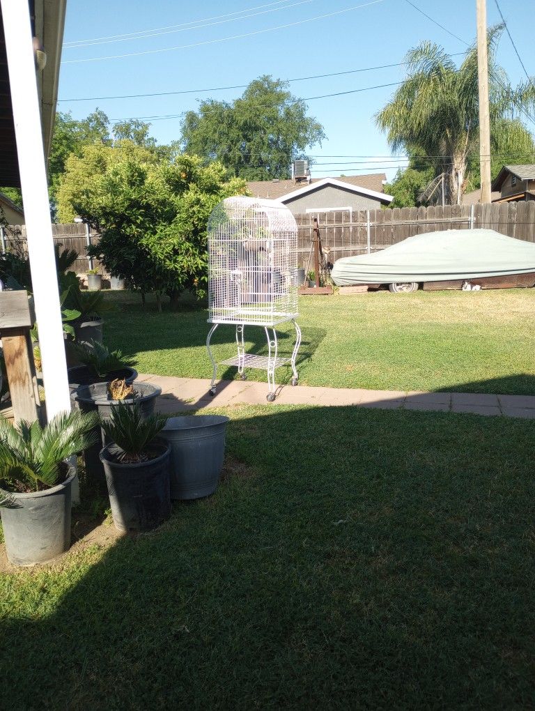 Cage