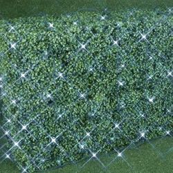 Outdoor Christmas Lights 