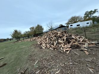 Firewood