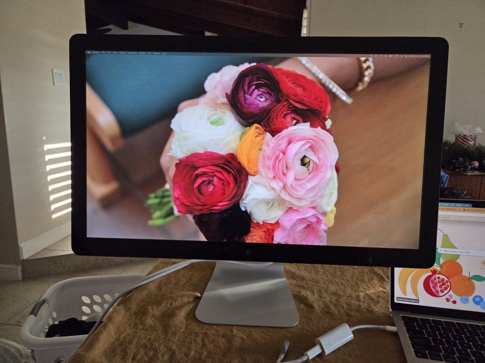 Apple Thunderbolt Display