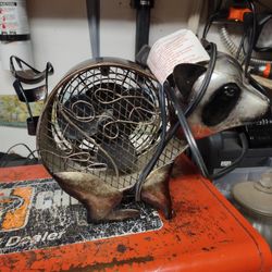 Raccoon Fan Works Good