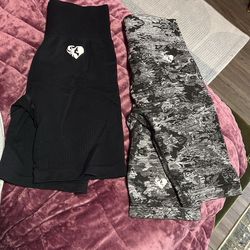 Women’s Best Shorts 