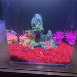 20 Gallon Glass Aquarium With Built-In Filter
