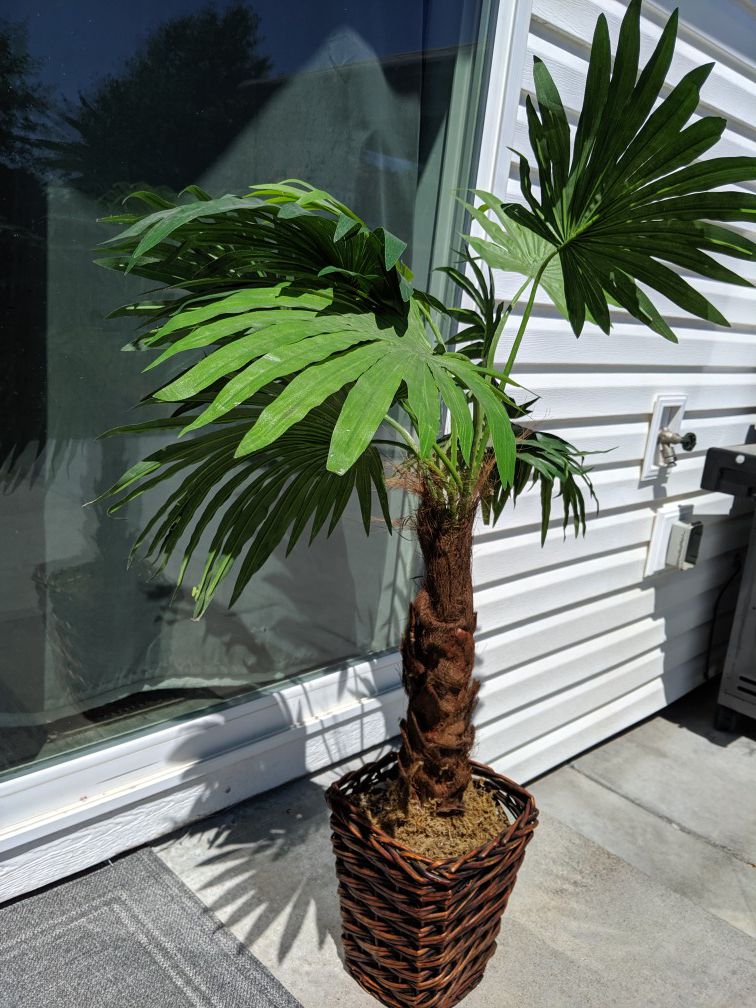 Fake palm tree