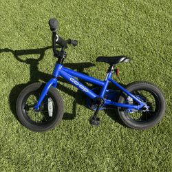 REI Co-op Kids Bike, 12 Inch