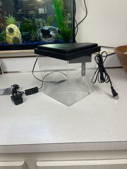Small Corner Aquarium Tank $15 OBO!!