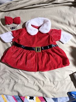 Holiday goose outfit