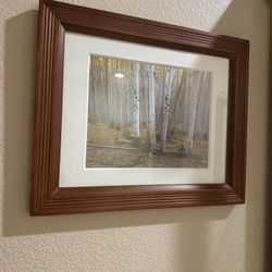 Aspens In The Dixie Picture