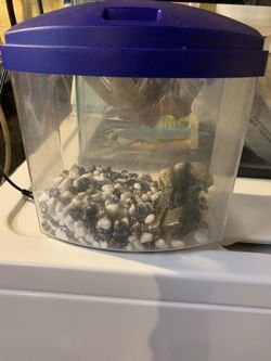 3 gallon tank