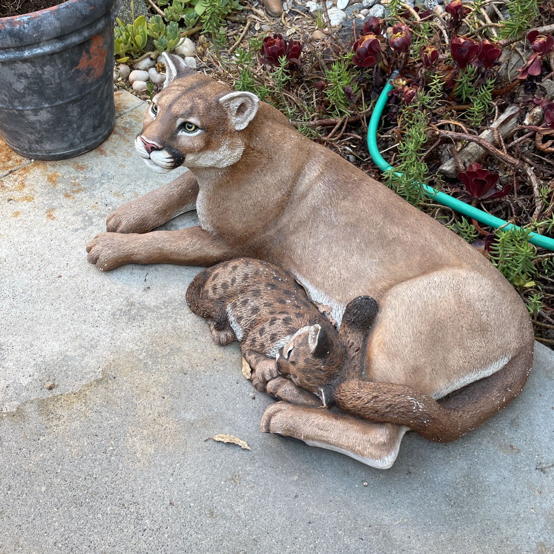 Life size Mountain Lion Statue & Cub