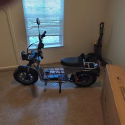 Electric Scooters