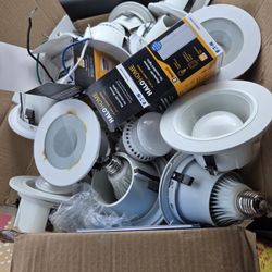 Entire Box Of Light Fixtures And Dimmers