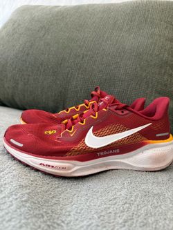 Nike Air Zoom Pegasus 41