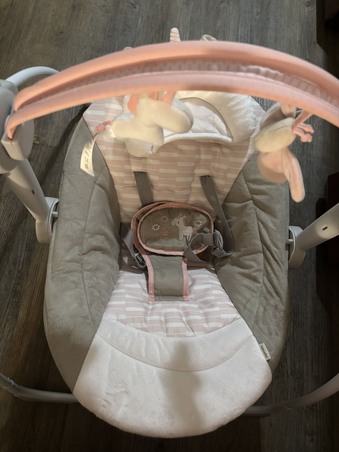 Baby Swing